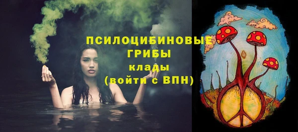 круглые Ладушкин