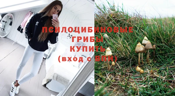 круглые Ладушкин