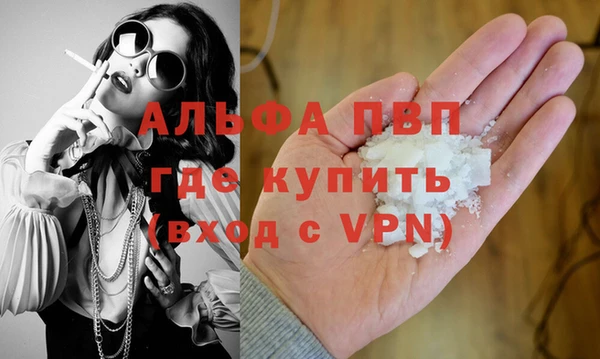 шишки Козельск